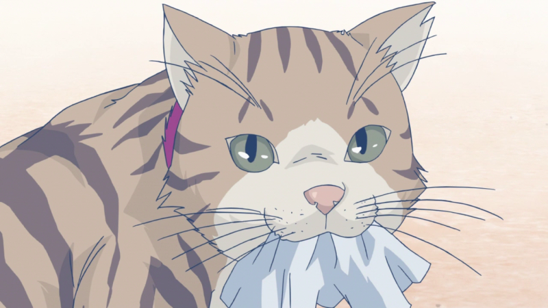 Fitxer:El gat episodi 1002.png