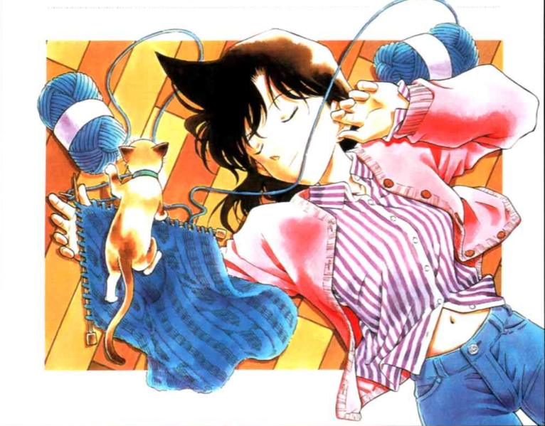 Fitxer:Ran Aparença.png